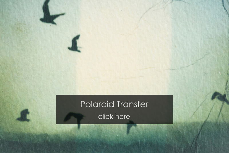Polaroid Transfer